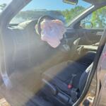 IMG_0837 (1)