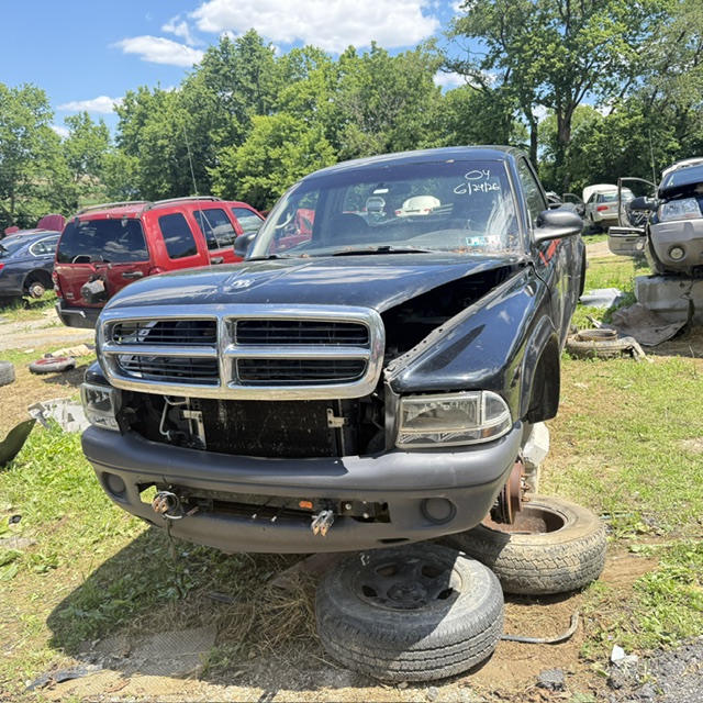 2004 Dodge Dakota's photo