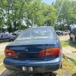 IMG_1139 (1)
