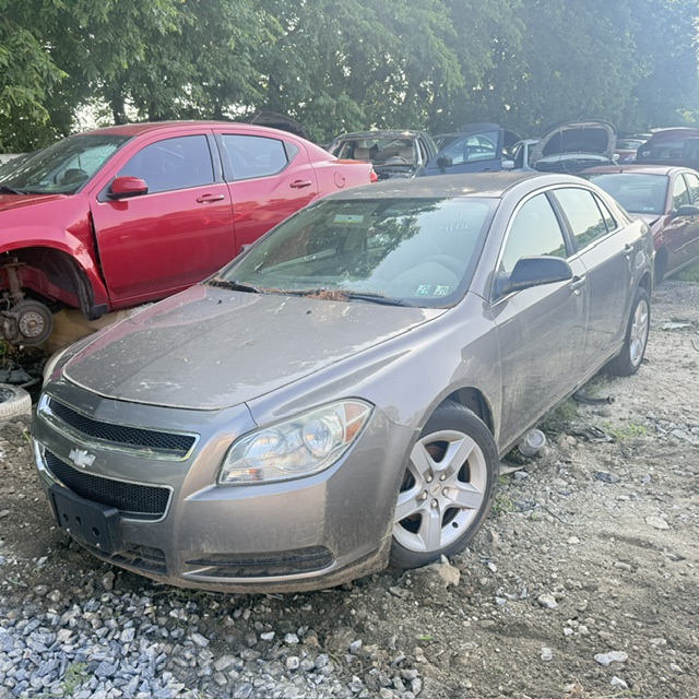 2011 Chevrolet Malibu 1LS's photo