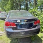 IMG_3984 (2)
