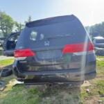 IMG_1218 (1) IMG_1218 (1)