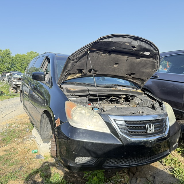 2010 Honda Odyssey EX-L's photo