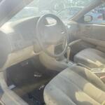 IMG_1223 IMG_1223