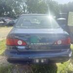 IMG_1225 IMG_1225