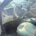 IMG_1253 (1)