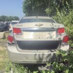 IMG_1259 IMG_1259