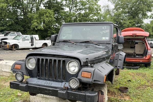 IMG_1500