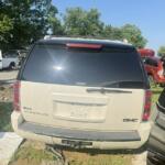 IMG_1604 (1)