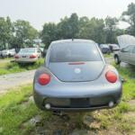 IMG_1782 (1) IMG_1782 (1)