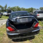 IMG_2822 (1) IMG_2822 (1)