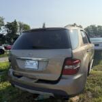 IMG_2834 (2)