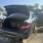 IMG_3120 (1) IMG_3120 (1)