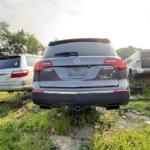 IMG_3030 (2) IMG_3030 (2)