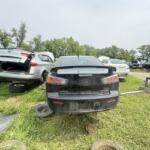 IMG_3055 IMG_3055