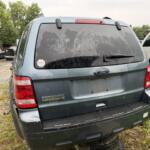 IMG_3871 (1) IMG_3871 (1)