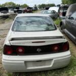IMG_3979 (1) IMG_3979 (1)