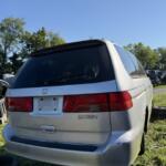 IMG_4018 (1) IMG_4018 (1)