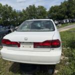 IMG_4036 (3)