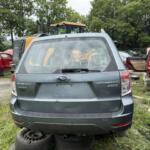 IMG_4056 (1) IMG_4056 (1)