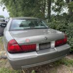 IMG_4067 (1) IMG_4067 (1)