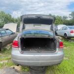 IMG_4125 (1)