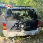 IMG_4136 (2)
