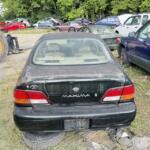 IMG_4148 (2) IMG_4148 (2)