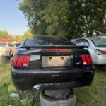 IMG_4259 IMG_4259