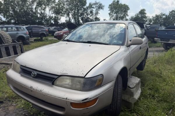 IMG_4348 (1)