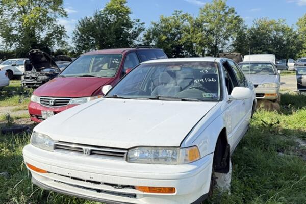 IMG_4486 (1) IMG_4486 (1)