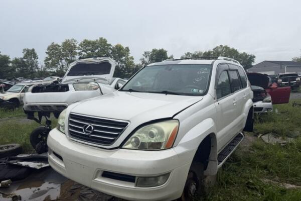 IMG_4577 IMG_4577