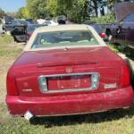 IMG_4835 (2) IMG_4835 (2)