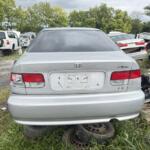 IMG_5236 (1) IMG_5236 (1)